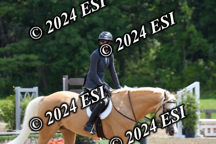 017DK1_2338