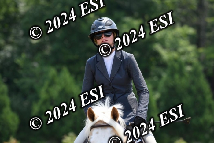 017DK1_2339