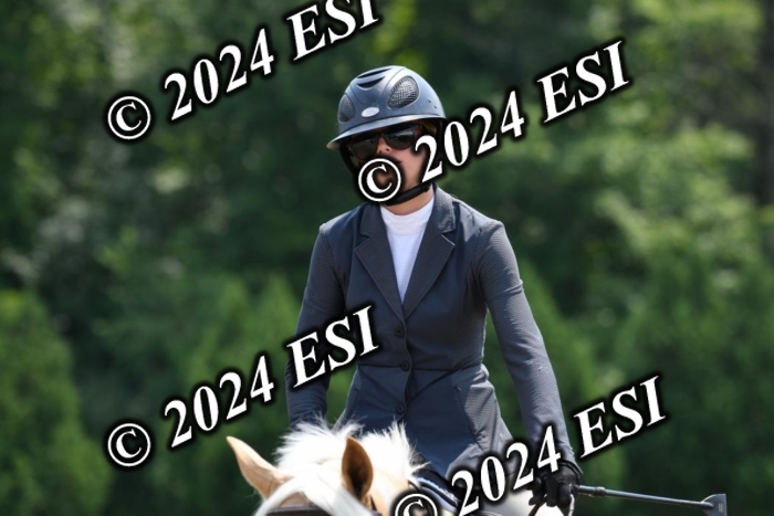 017DK1_2340