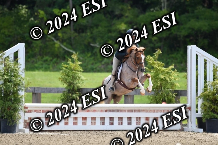 017DK1_2347