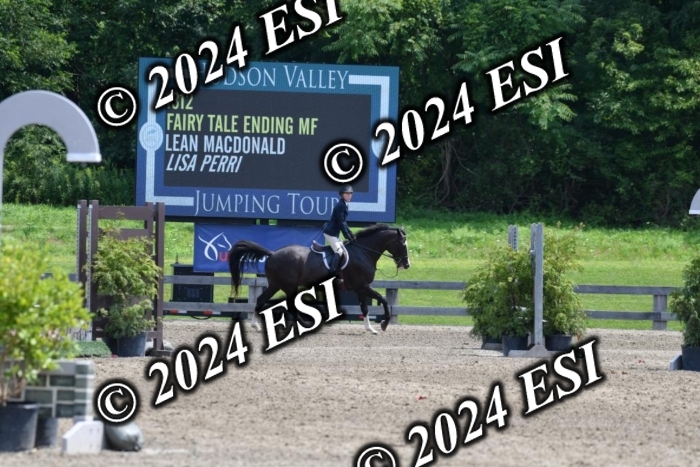 017DK1_2361