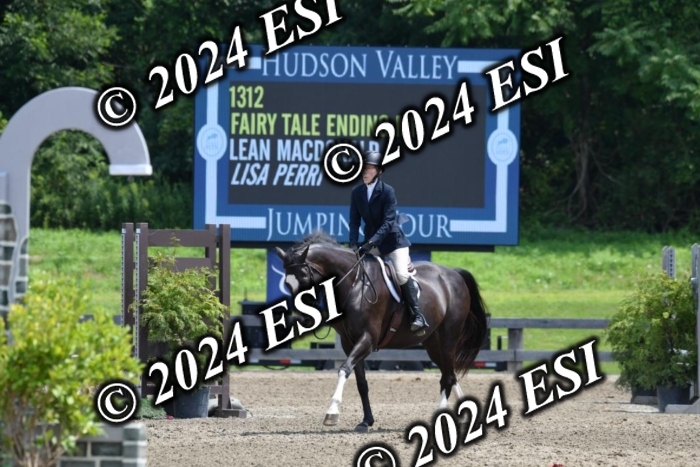017DK1_2362