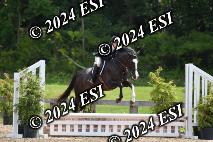 017DK1_2364