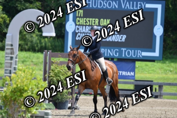 017DK1_2368