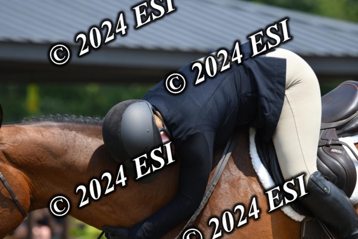 017DK1_2374