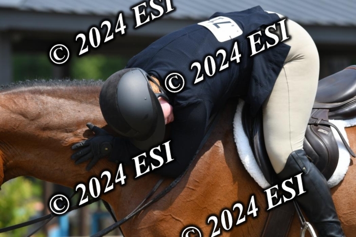 017DK1_2375
