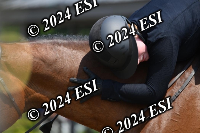 017DK1_2376