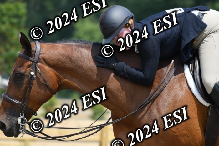 017DK1_2377