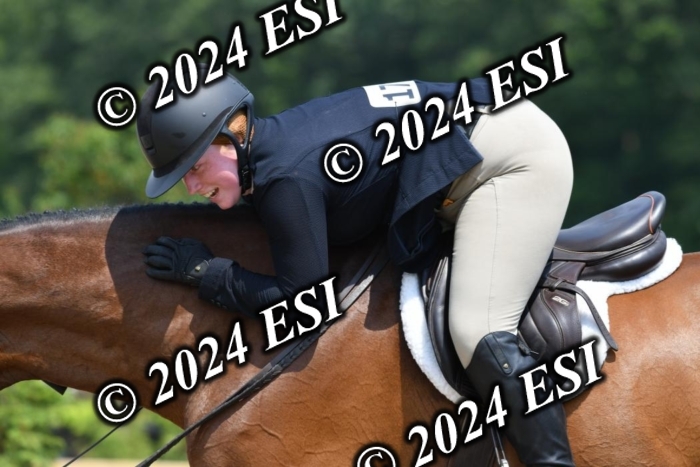 017DK1_2378