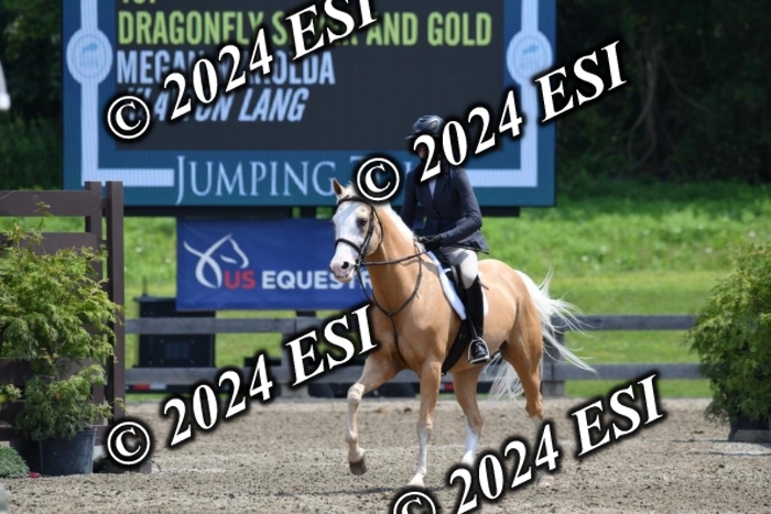 017DK1_2380