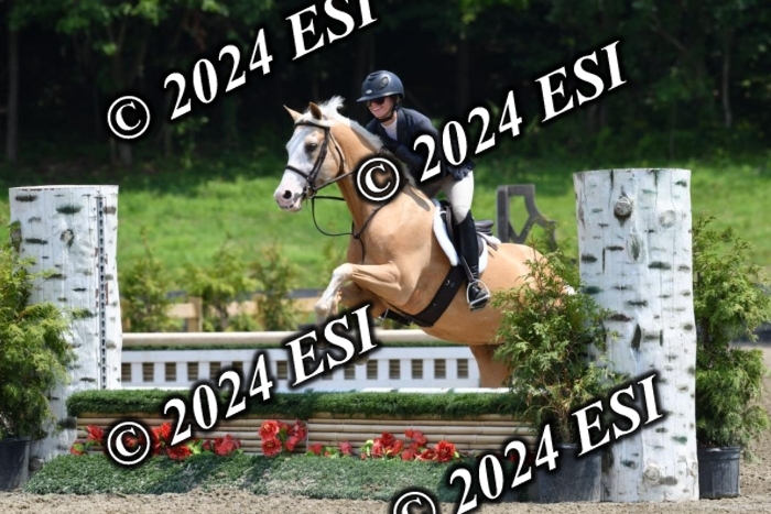 017DK1_2381