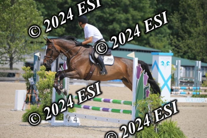 205AC2_0487