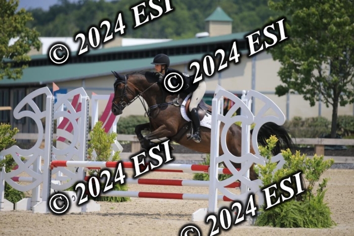 205AC2_0536