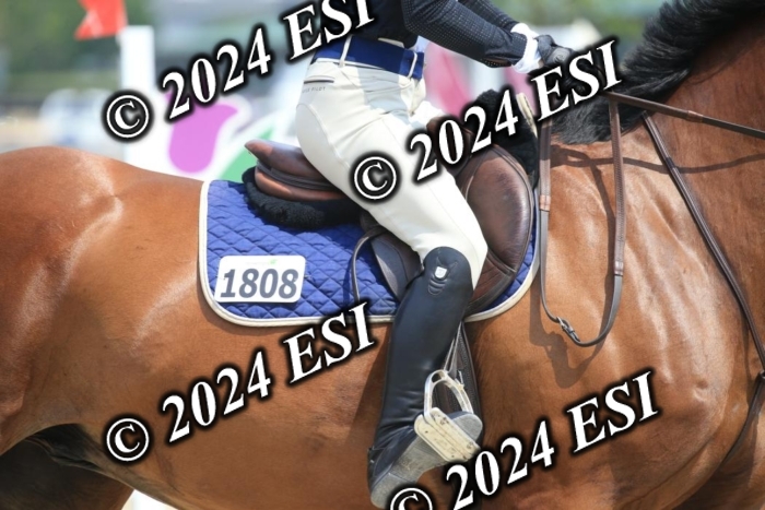 205AC2_0543