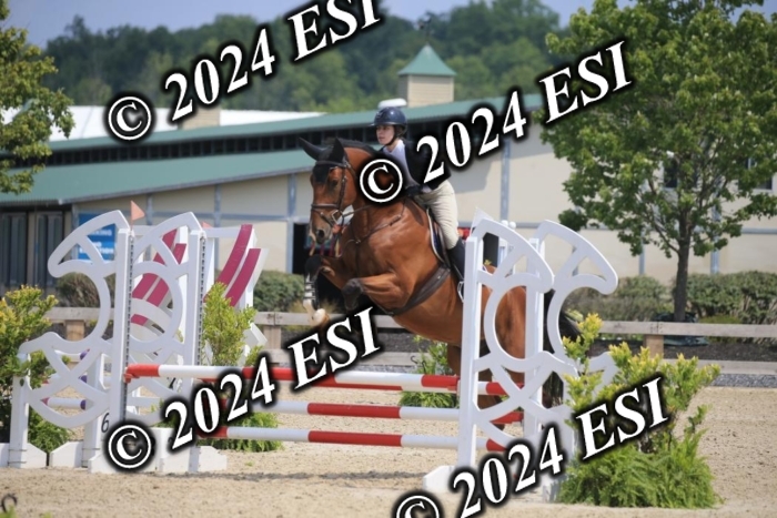 205AC2_0544