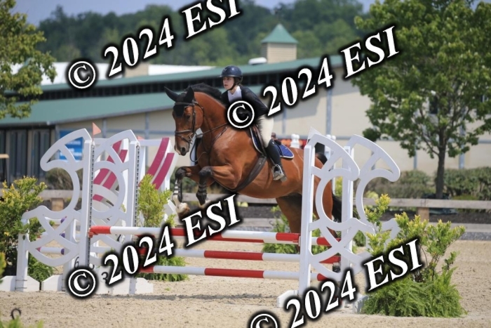 205AC2_0545