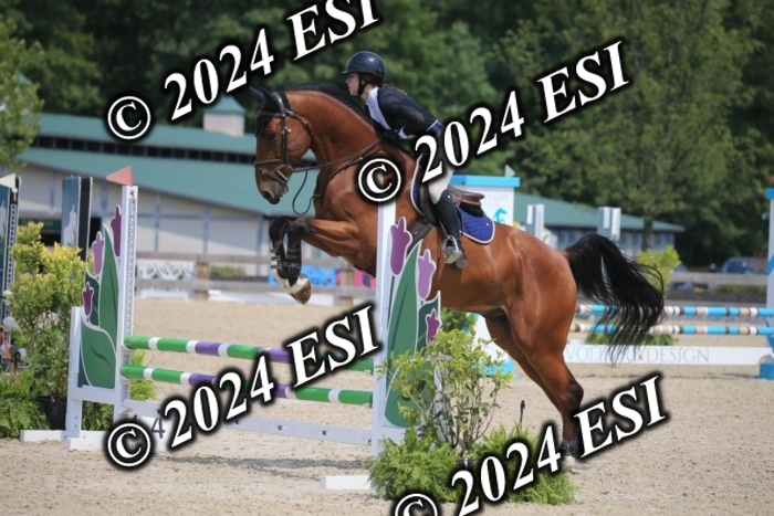 205AC2_0547