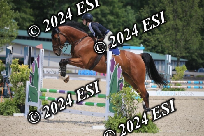 205AC2_0548