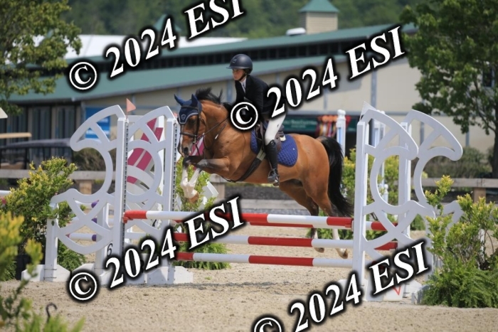 205AC2_0556