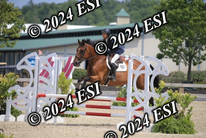 205AC2_0568