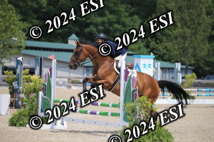 205AC2_0569
