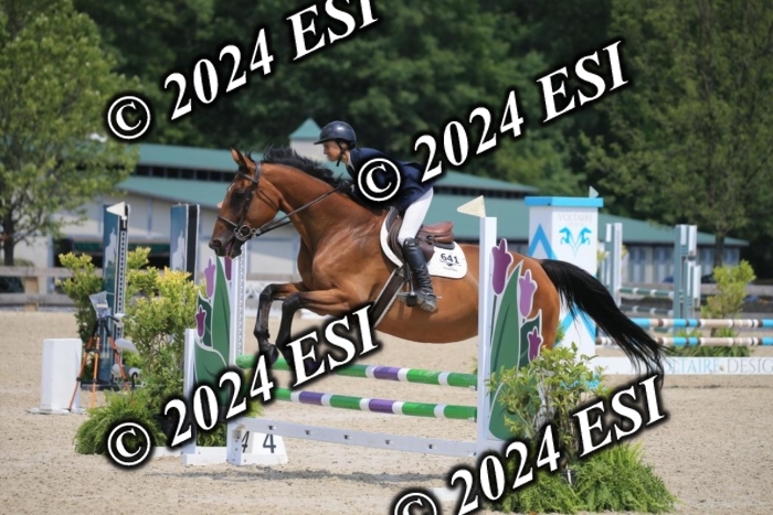 205AC2_0570