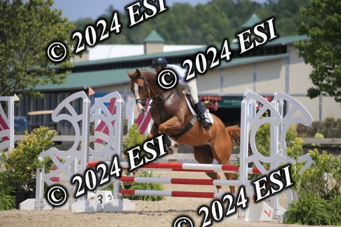 205AC2_0595