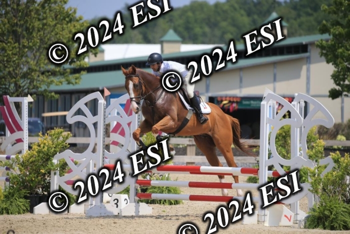 205AC2_0596
