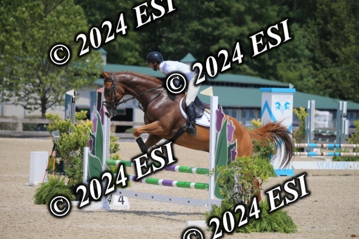 205AC2_0597