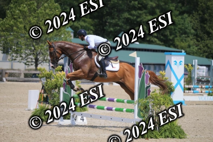 205AC2_0598