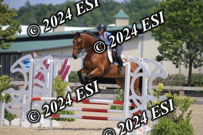 205AC2_0631