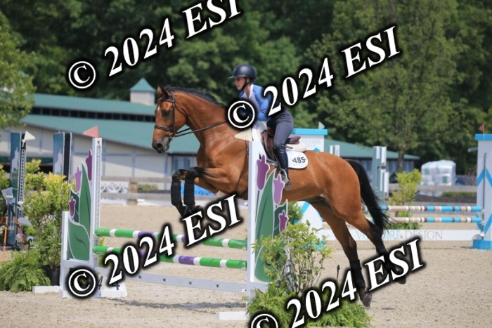 205AC2_0634
