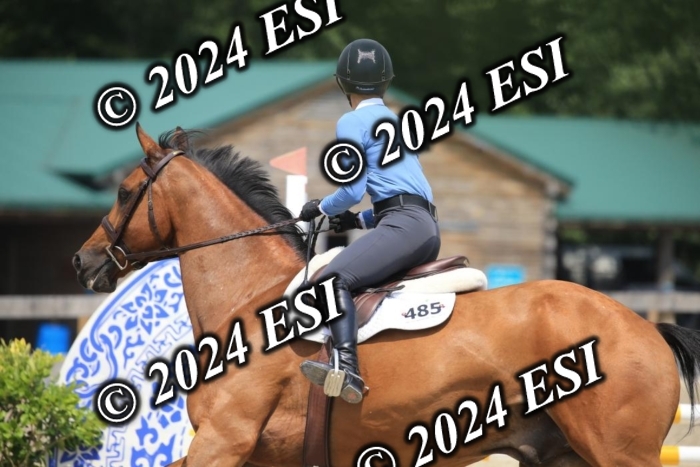 205AC2_0636