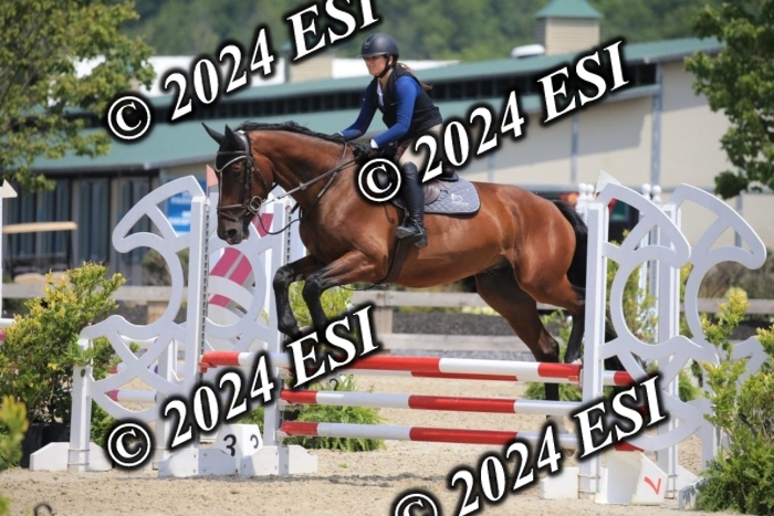 205AC2_0644