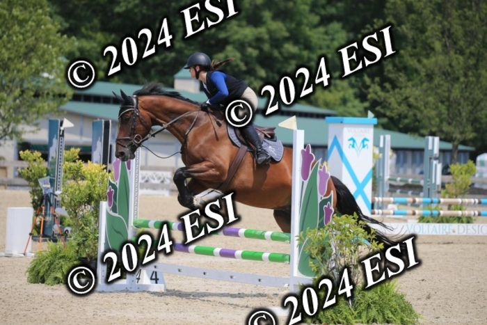 205AC2_0645