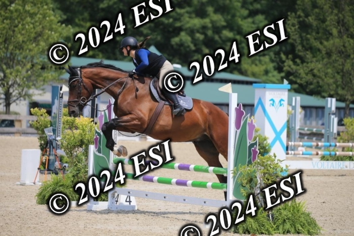 205AC2_0646