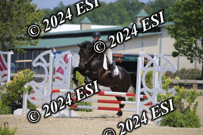 205AC2_0669
