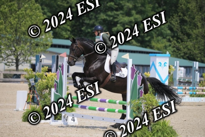 205AC2_0670
