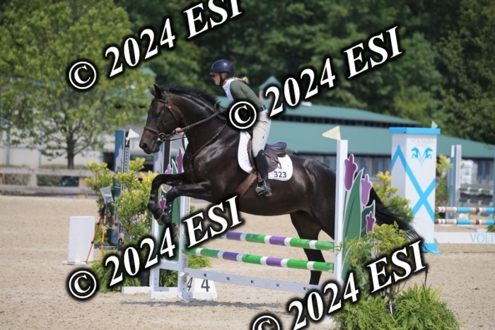 205AC2_0671