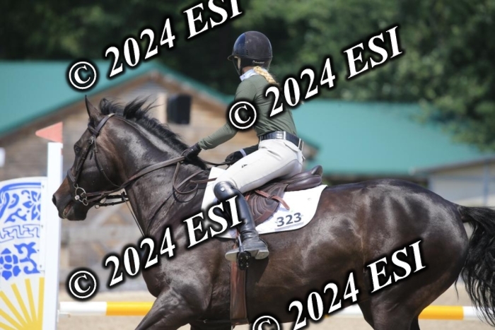 205AC2_0672
