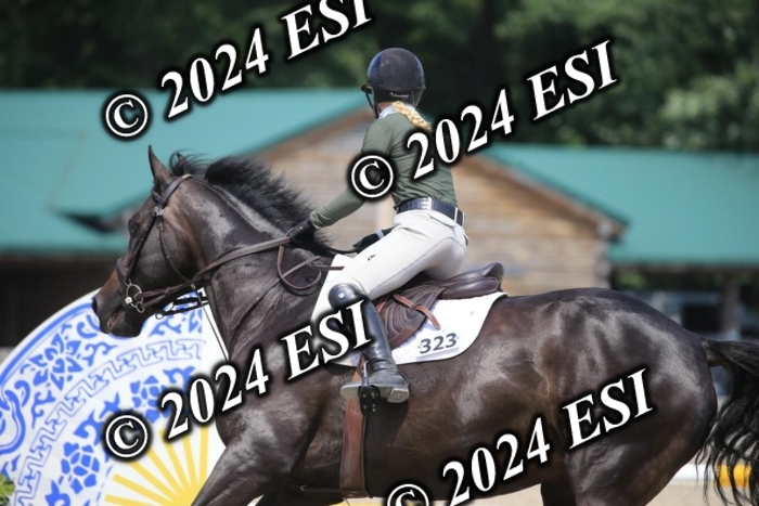 205AC2_0673