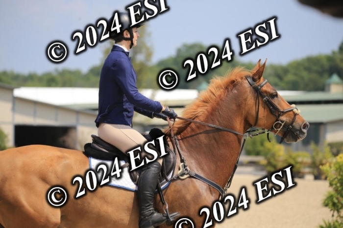 205AC2_0677