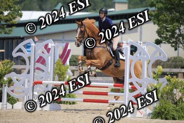 205AC2_0679