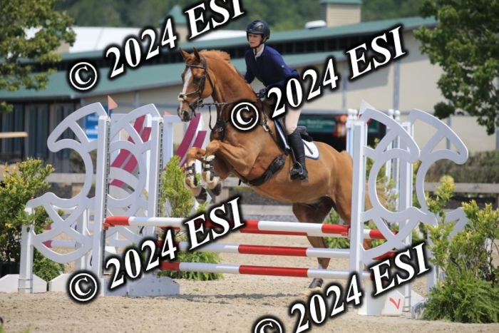 205AC2_0680