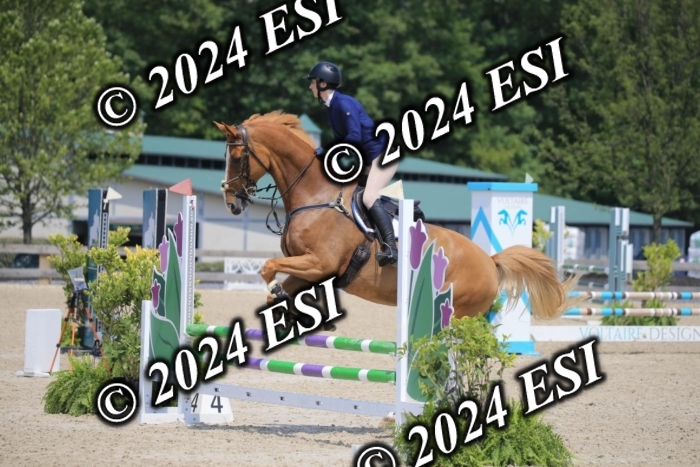 205AC2_0682