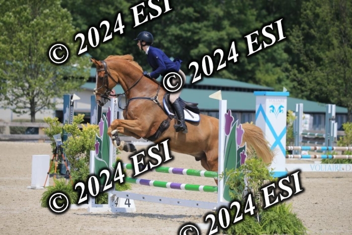 205AC2_0683