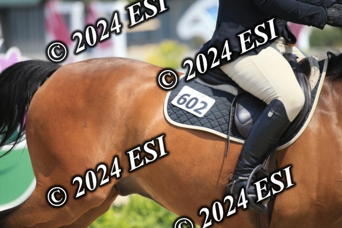 205AC2_0692