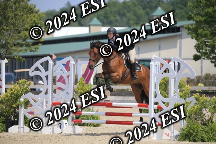 205AC2_0693