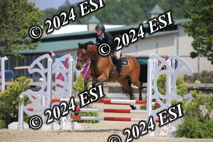 205AC2_0694