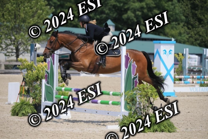 205AC2_0695